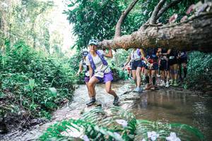 BIB: 
                            <button type="button" onclick="openModal(25466748)" class="btn btn-primary btn-sm float-right btn-popup" data-toggle="modal" data-target=".modal-high-quality">
                        <i class="fas fa-shopping-cart"></i> Add to Cart
                    </button>
                                            <button type="button" onclick="isThisMe(25466748, true)" class="btn btn-success btn-sm float-right btn-popup btn-isme hidden" data-toggle="tooltip" data-placement="bottom" title="นี่คือรูปของคุณใช่ไหม คลิกที่นี่เพื่อเอาเข้าอัลบั้ม">
                        <i class="fas fa-plus"></i> Add to album
                    </button>
                    <button type="button" onclick="isThisMe(25466748, false)" class="btn btn-warning btn-sm float-right btn-popup btn-isnotme hidden">
                        <i class="fas fa-ban"></i> Remove from album
                    </button>